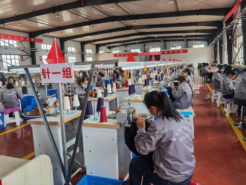 現(xiàn)實(shí)版 山海情 廈門唯一上榜集體 國家級(jí)殊榮