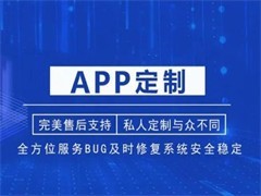 廈門系統(tǒng)軟件開發(fā)